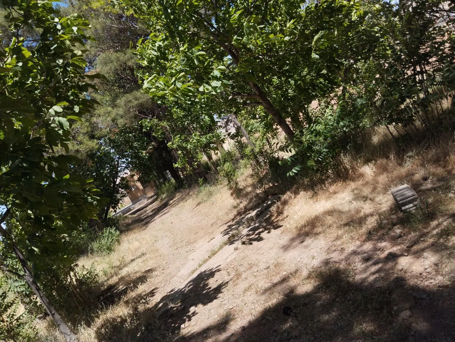 زمین با آب و برق