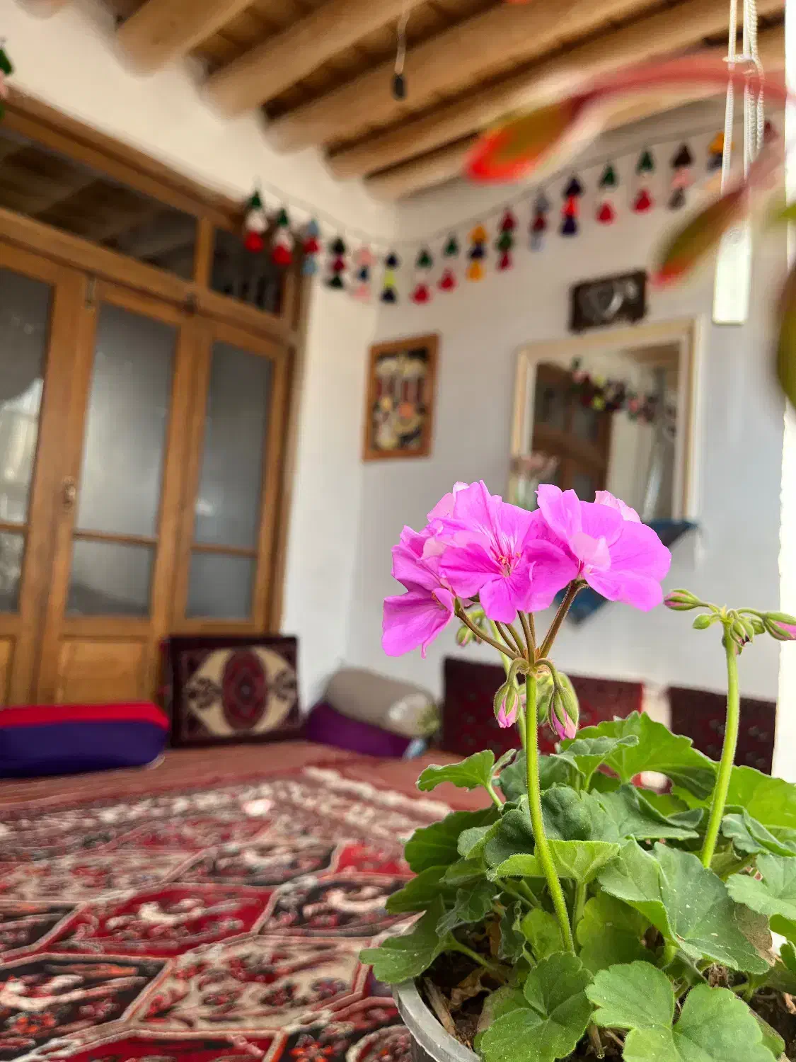 اقامتگاه سنتی  زیبا کنار چشمه ناز ونک سمیرم