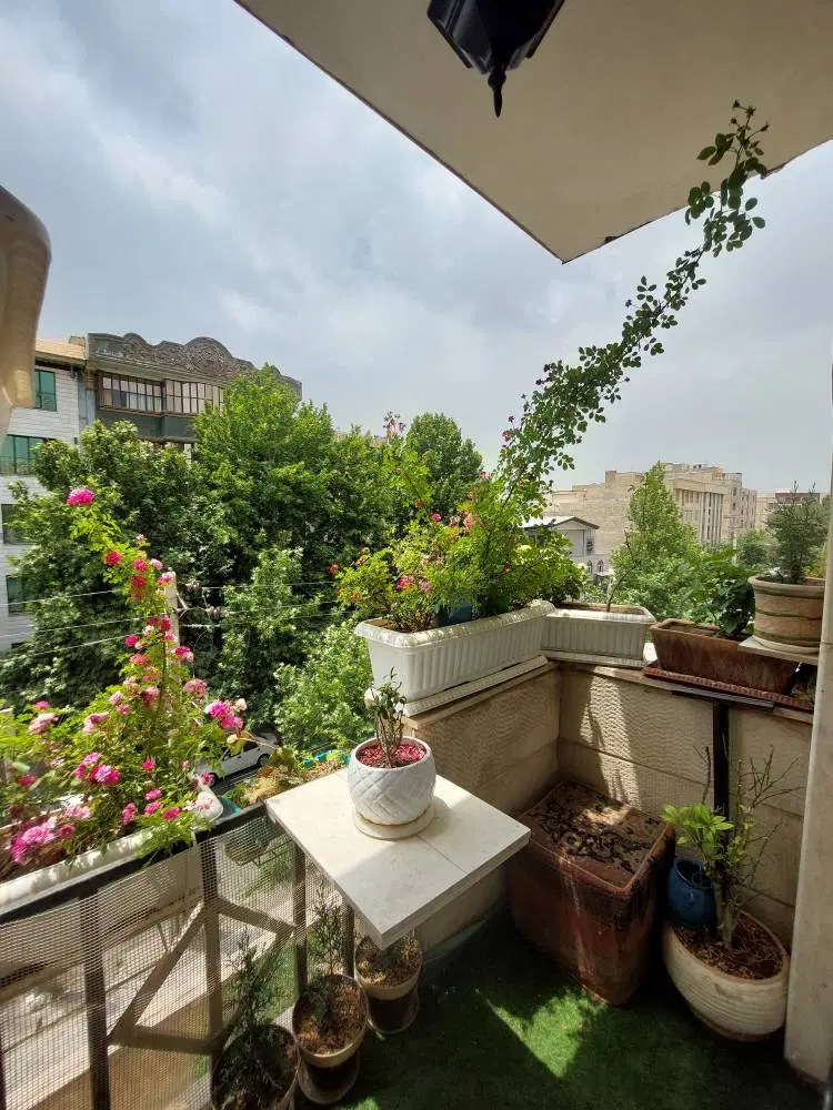 55متر_یک خواب