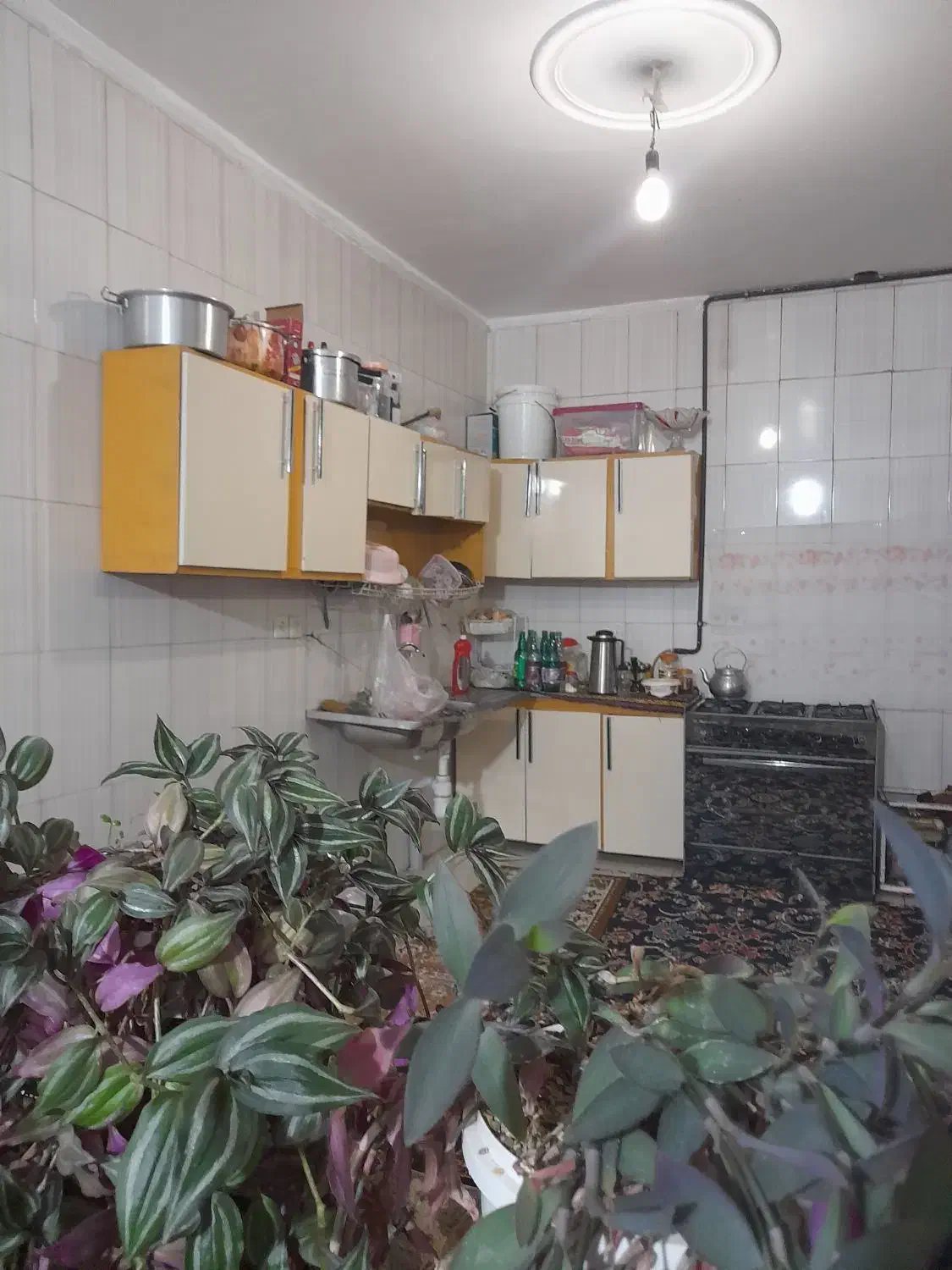 رهن وارائه واحد مسکونی هم کف