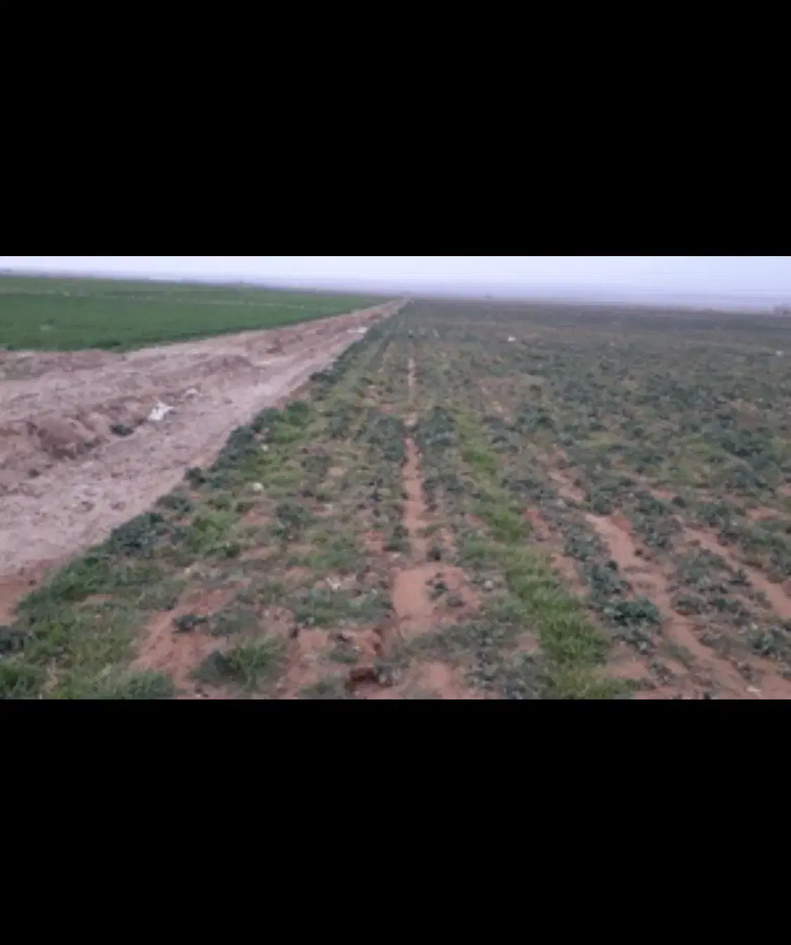 زمین شهرک گلستان