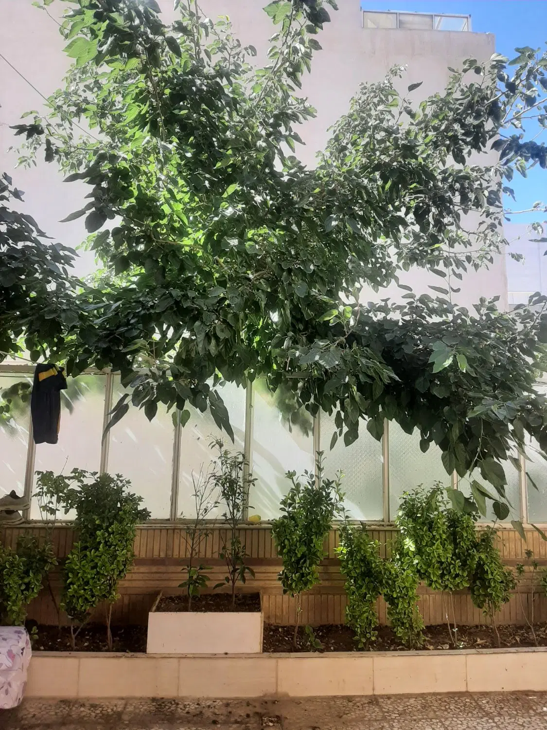 خانه ویلایی