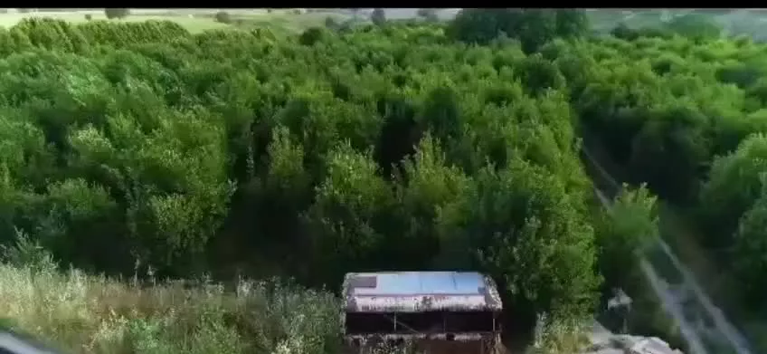 فروش باغ شهری کوهمره سرخی
