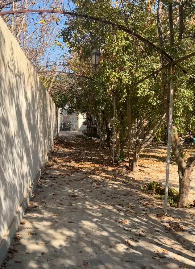 باغ ویلا