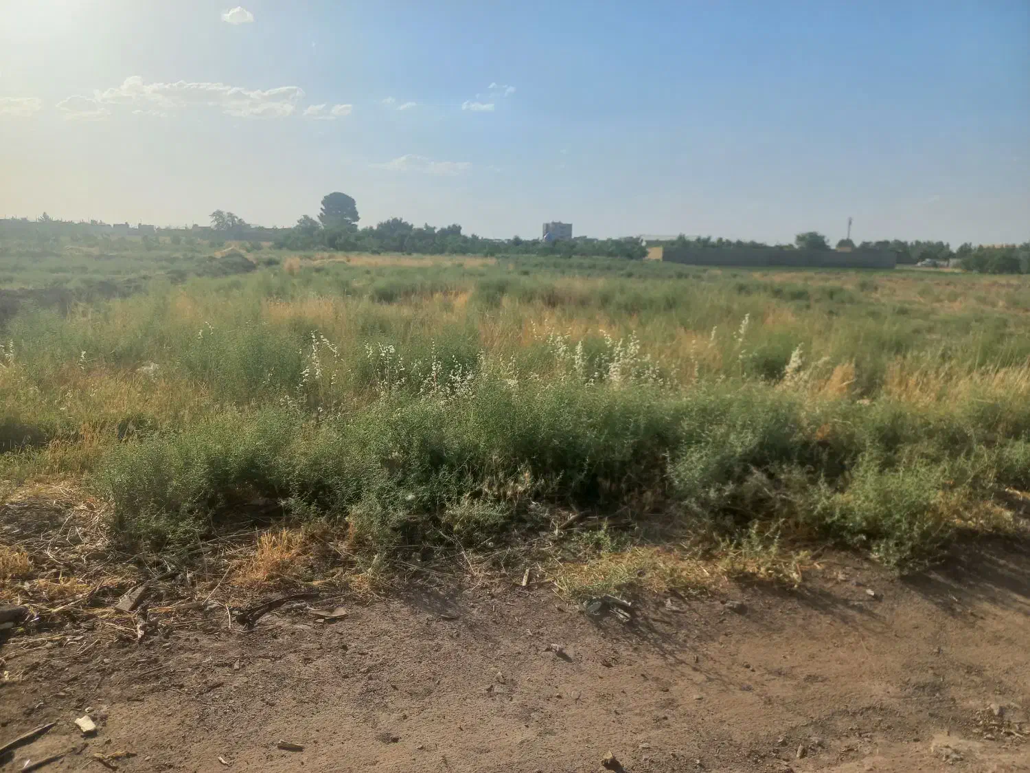 زمین فروشی کشاورزی پاسداران ۶