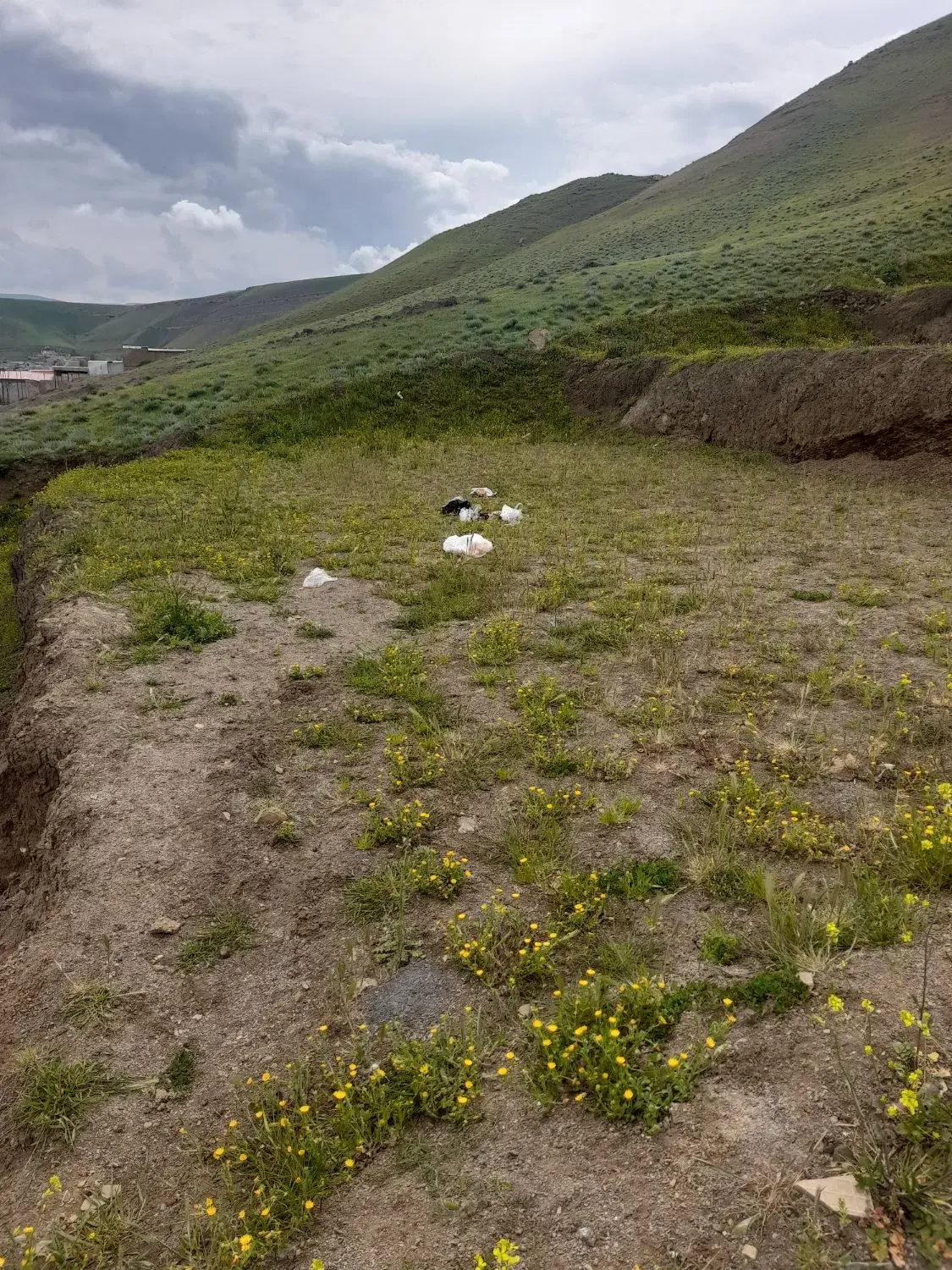 زمین مسکونی