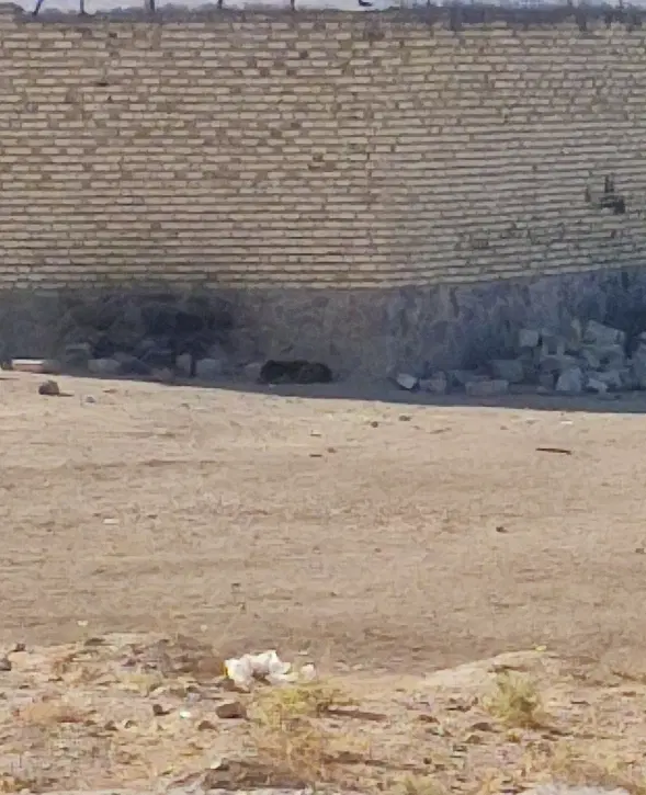 زمین‌در‌روستای‌اژدهاتو