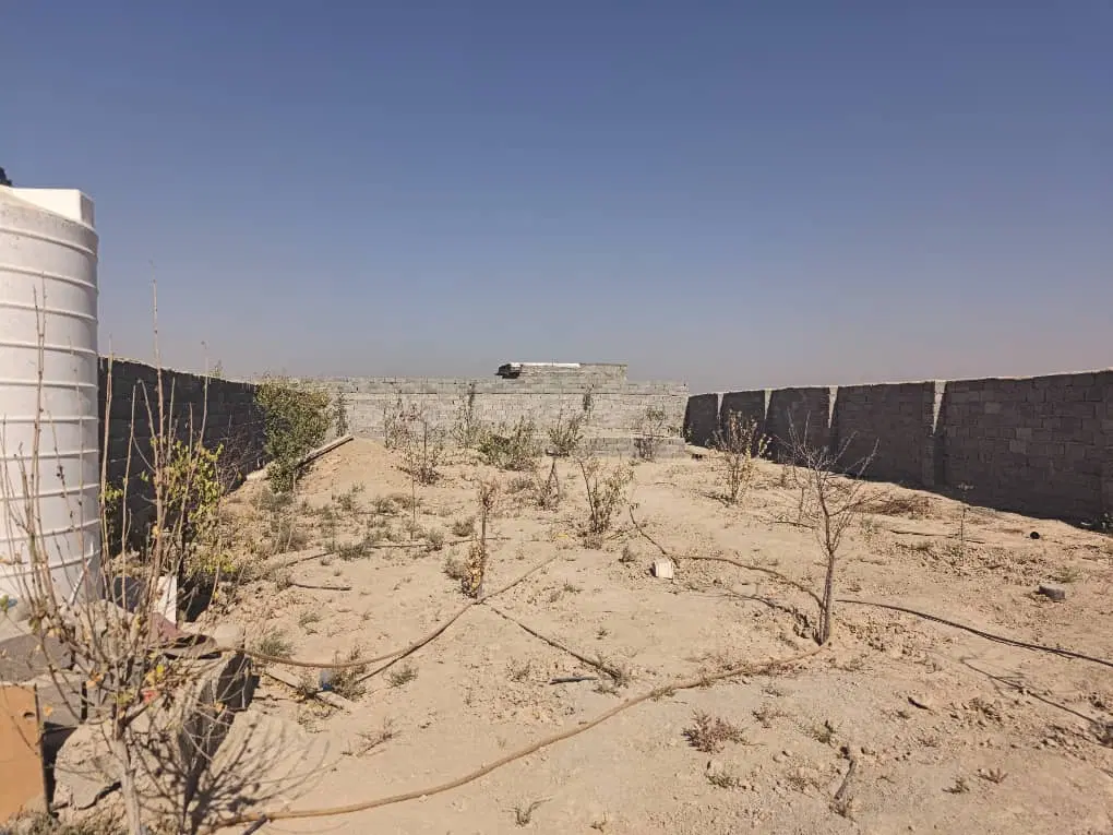 زمین