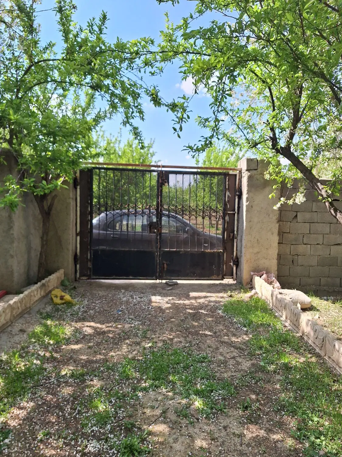 باغچه چهاردیواری