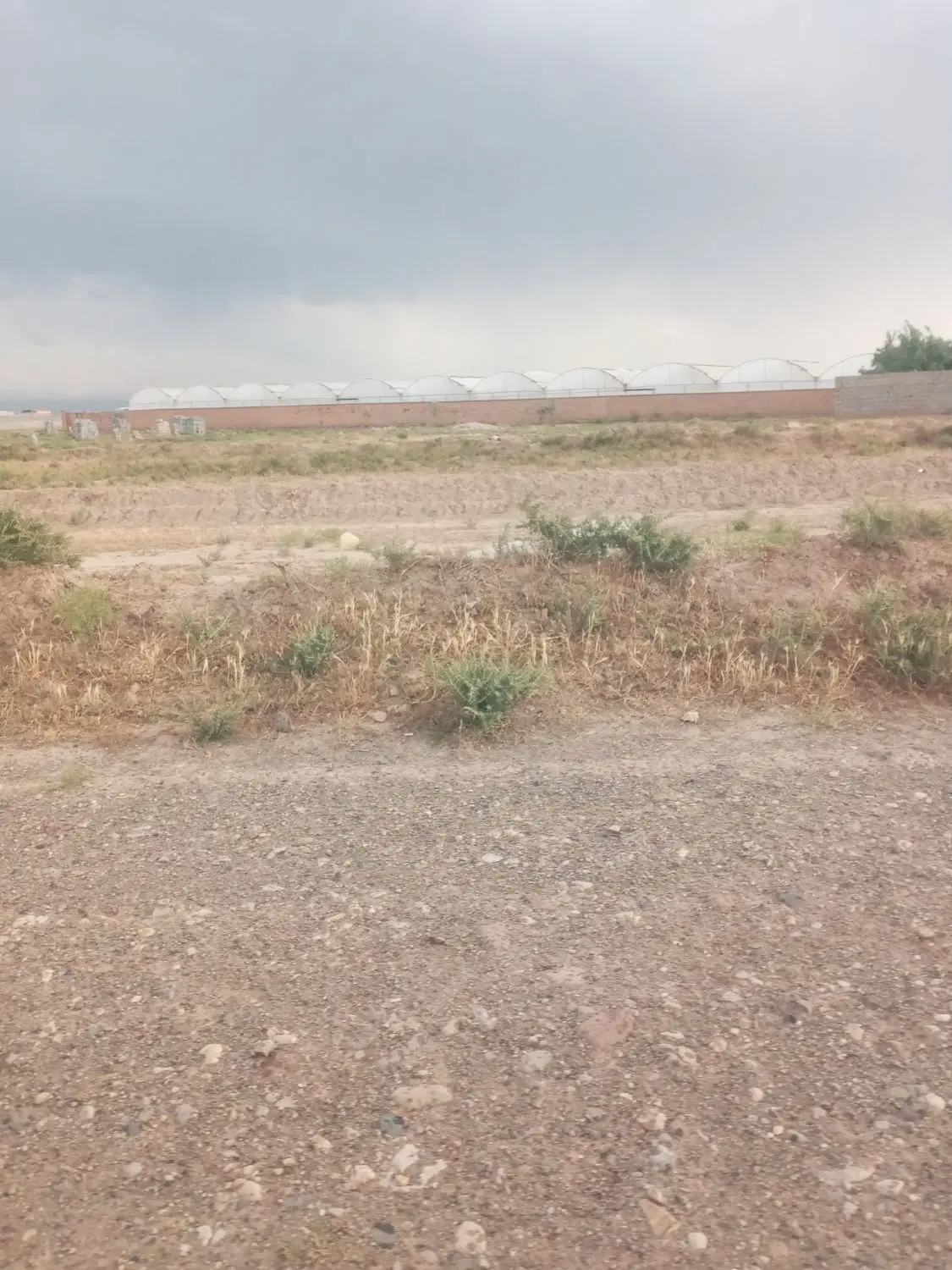 زمین باغی در الوار سفلی