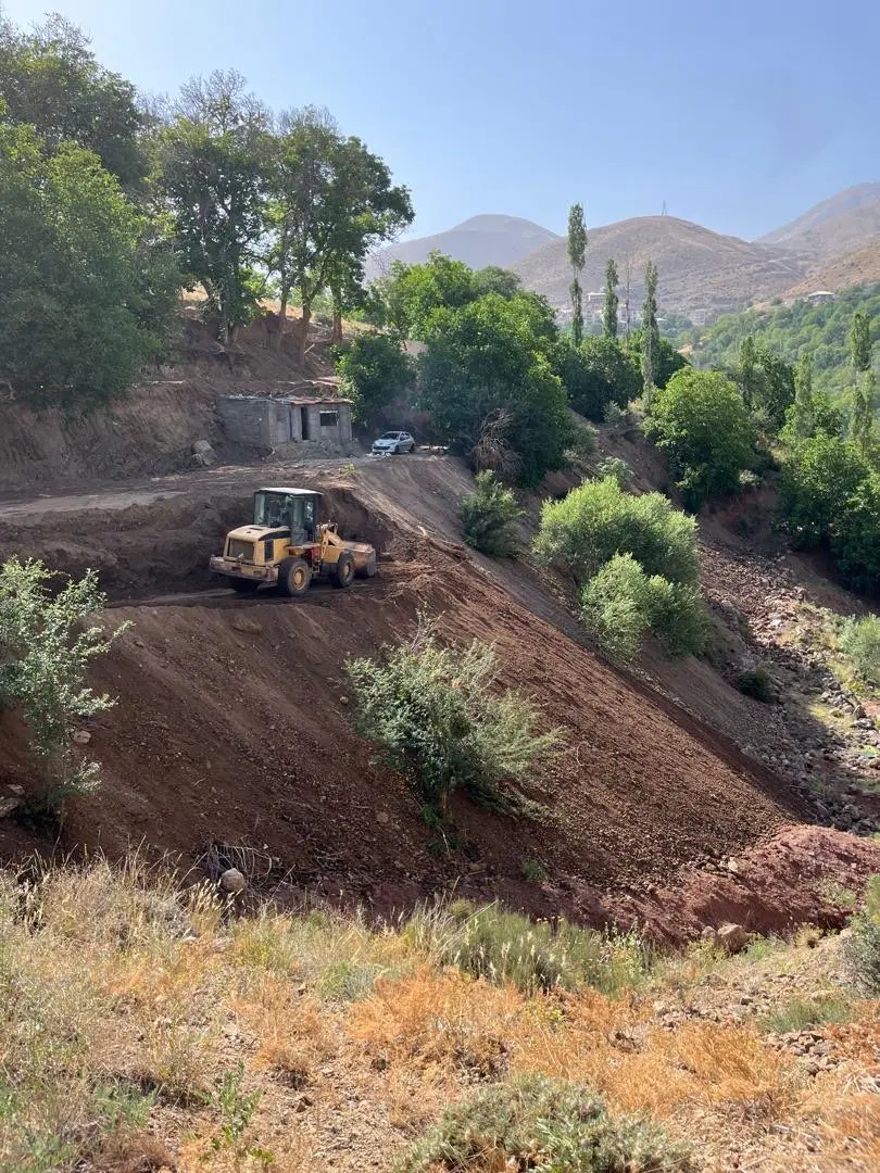 زمین باغی