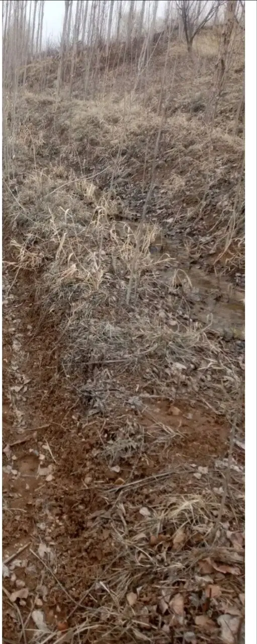 زمین در  خیابان ۱۸ متری الزهرا غدیر شهر