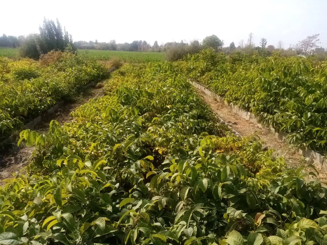 ملک با موقعیت استثنایی
