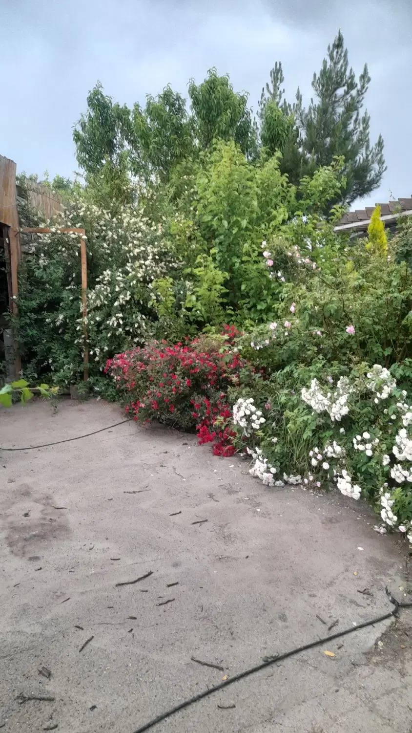 باغ ویلا با استخر اب گرم و گلخانه