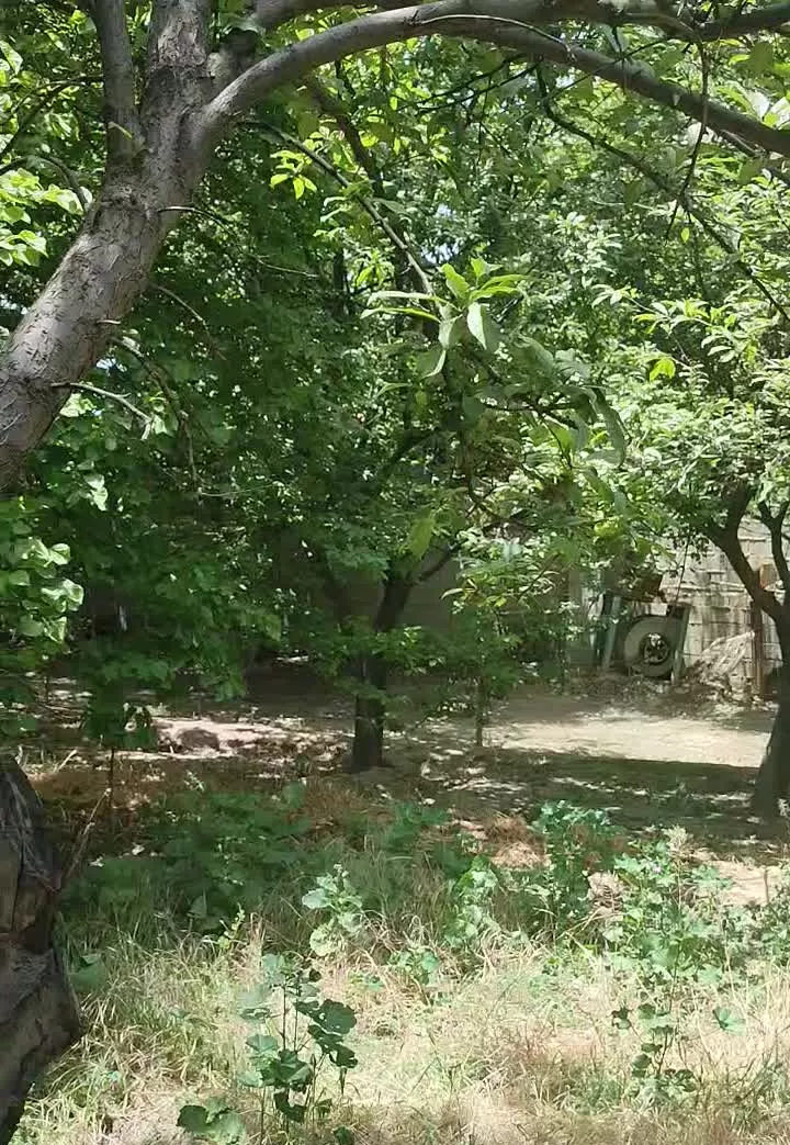 اگر فقط دنبال سرمایه گذاری هستید ببینید