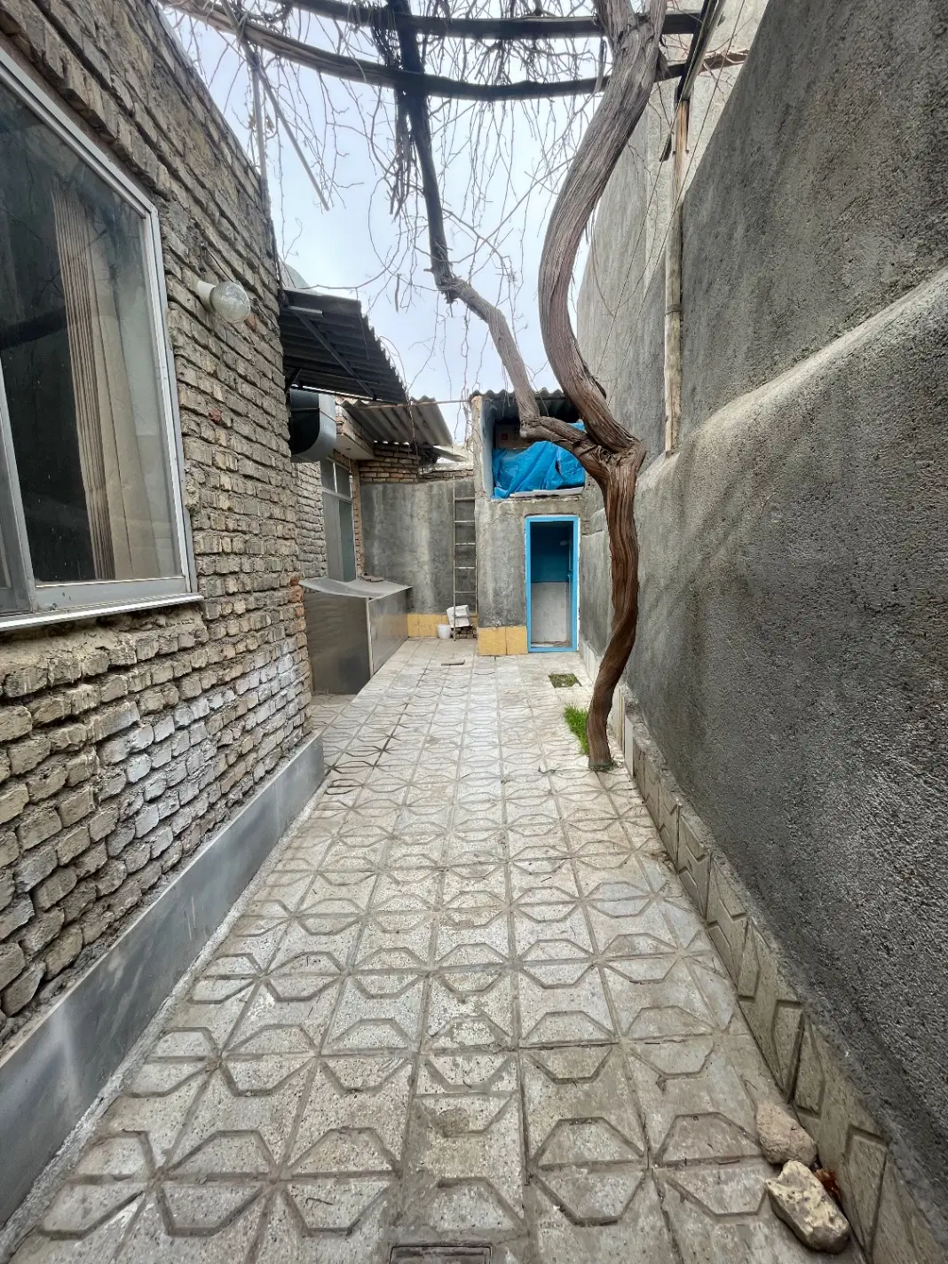 اجاره ویلای (ملکش عارف ۸)