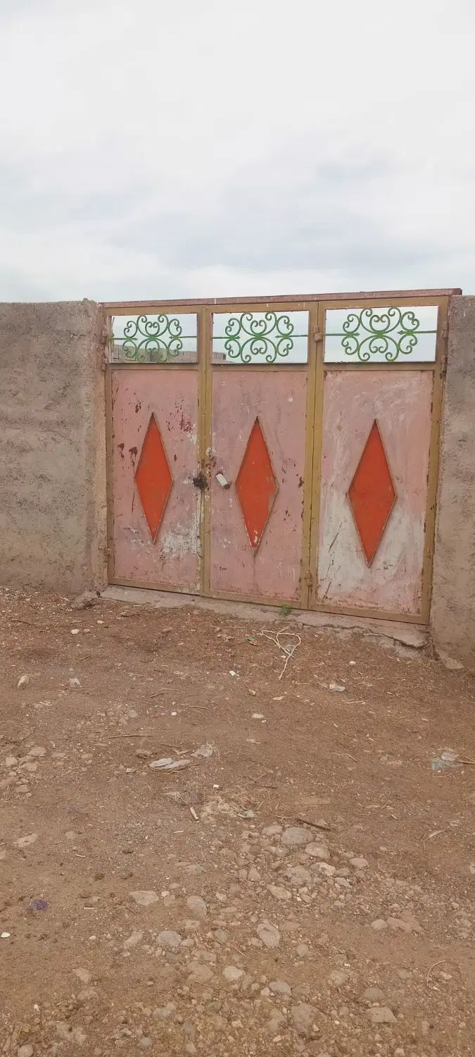 گاو داری