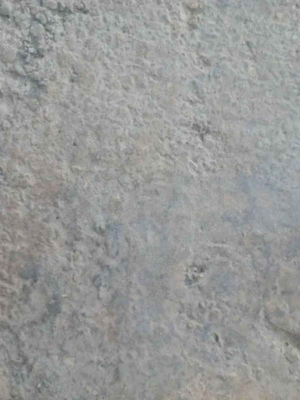 زمین