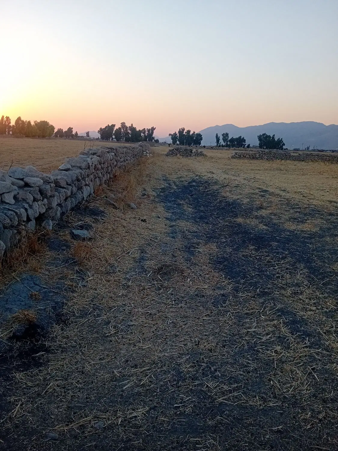درود به هم شهریان عزیز ۲۵۰۰۰ متر زمین کشاورزی