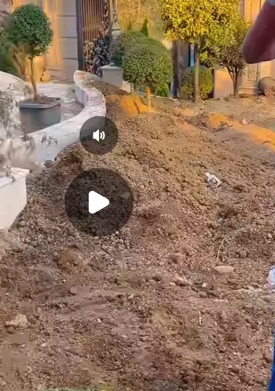 زمین در بلوار صدف