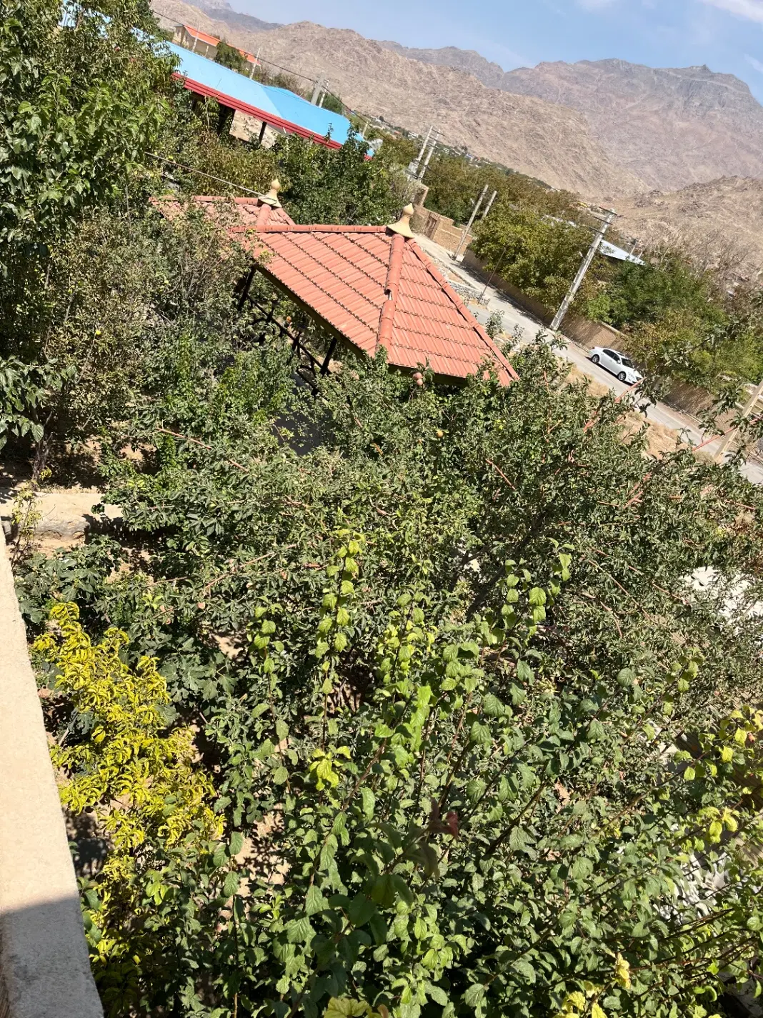 خانه باغ سانیج  قلعه کهنه