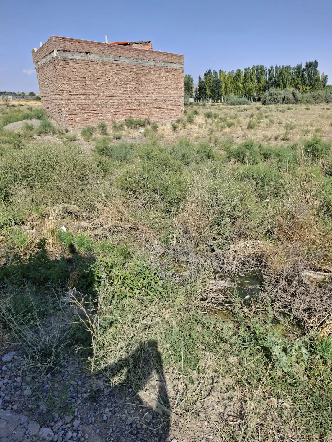 زمین 137 متر مغانجوق داخل ساخت و ساز زمین میرالنقی