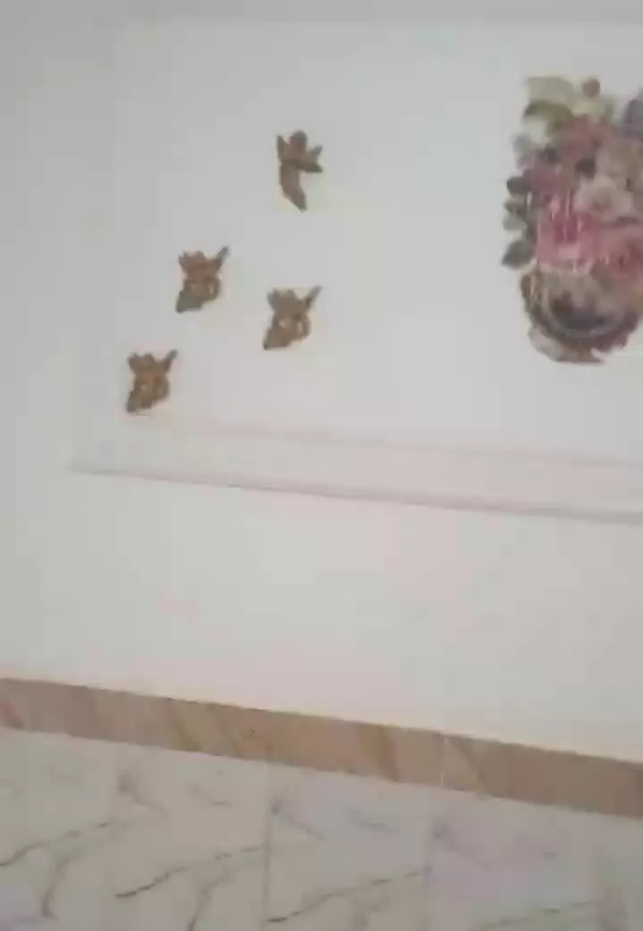 اجاره طبقه دوم