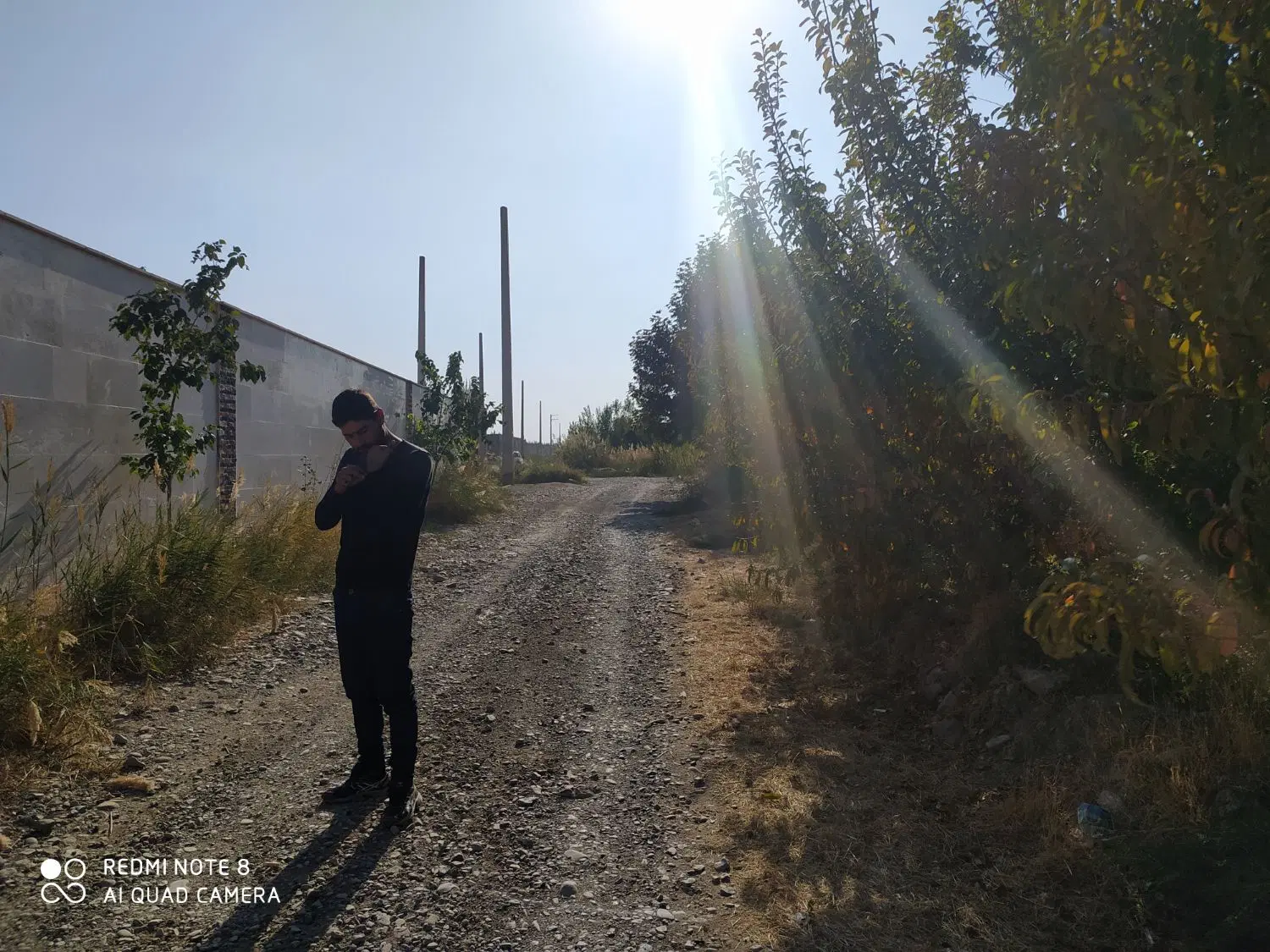زمین باغی