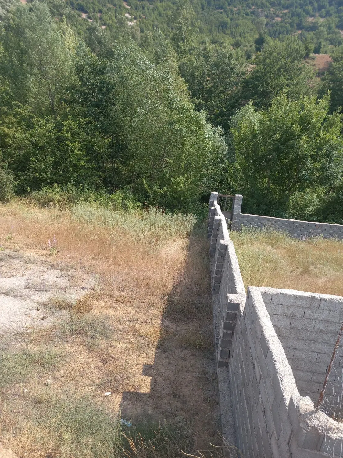 فروش زمین ۶۰۰ متره در روستای زیبای  سنور