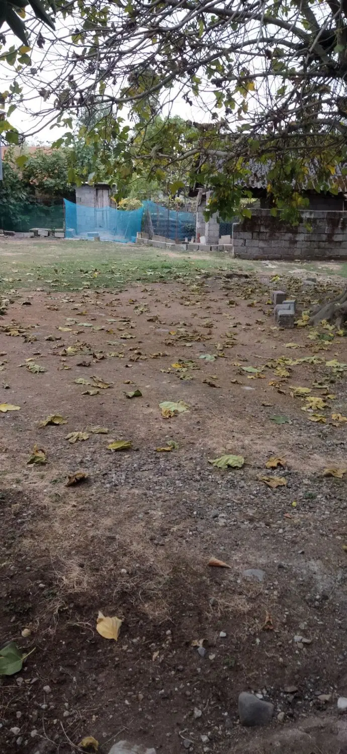 زمین مسکونی