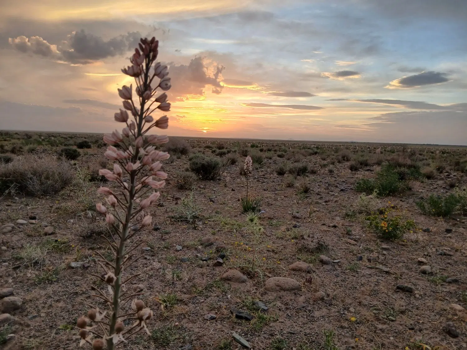 زمین در روستای کران