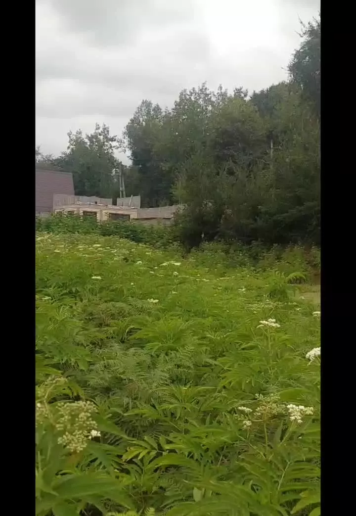 __ فوری__فوری زمین مسکونی ویلایی کچاء