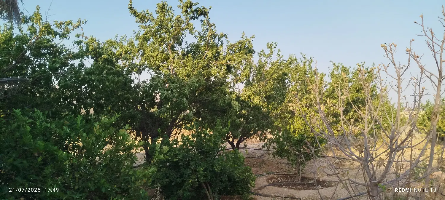 باغ شهری 1720متر