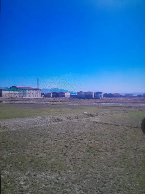 زمین در ۱۵۰ متری در الوار سفلی