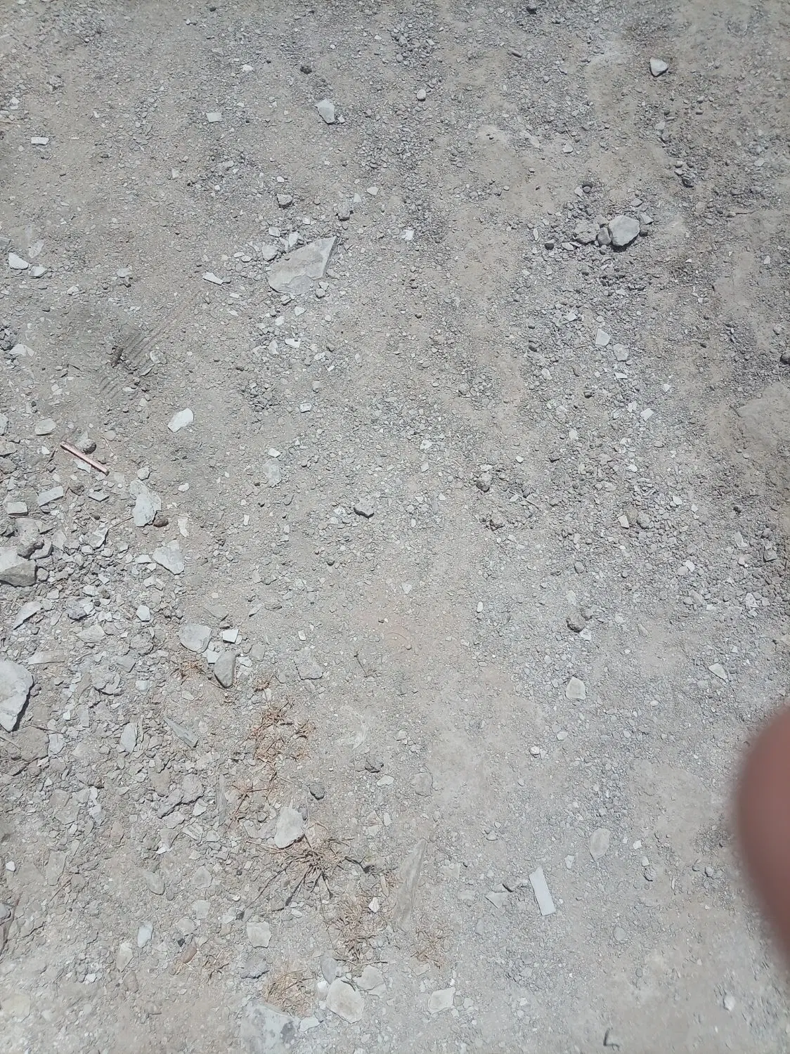 مسکن ملی