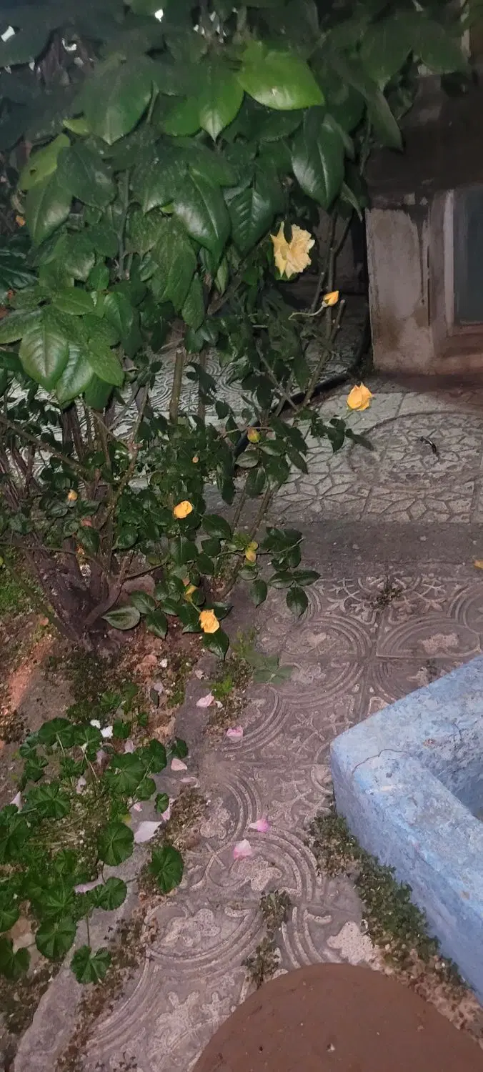 فروش حیاط کلنگی
