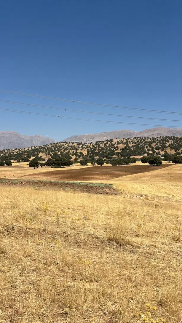 ۱۰۰۰ متر _ یاسوج _ فیروز آباد_ قلب طبیعت کوهستانی