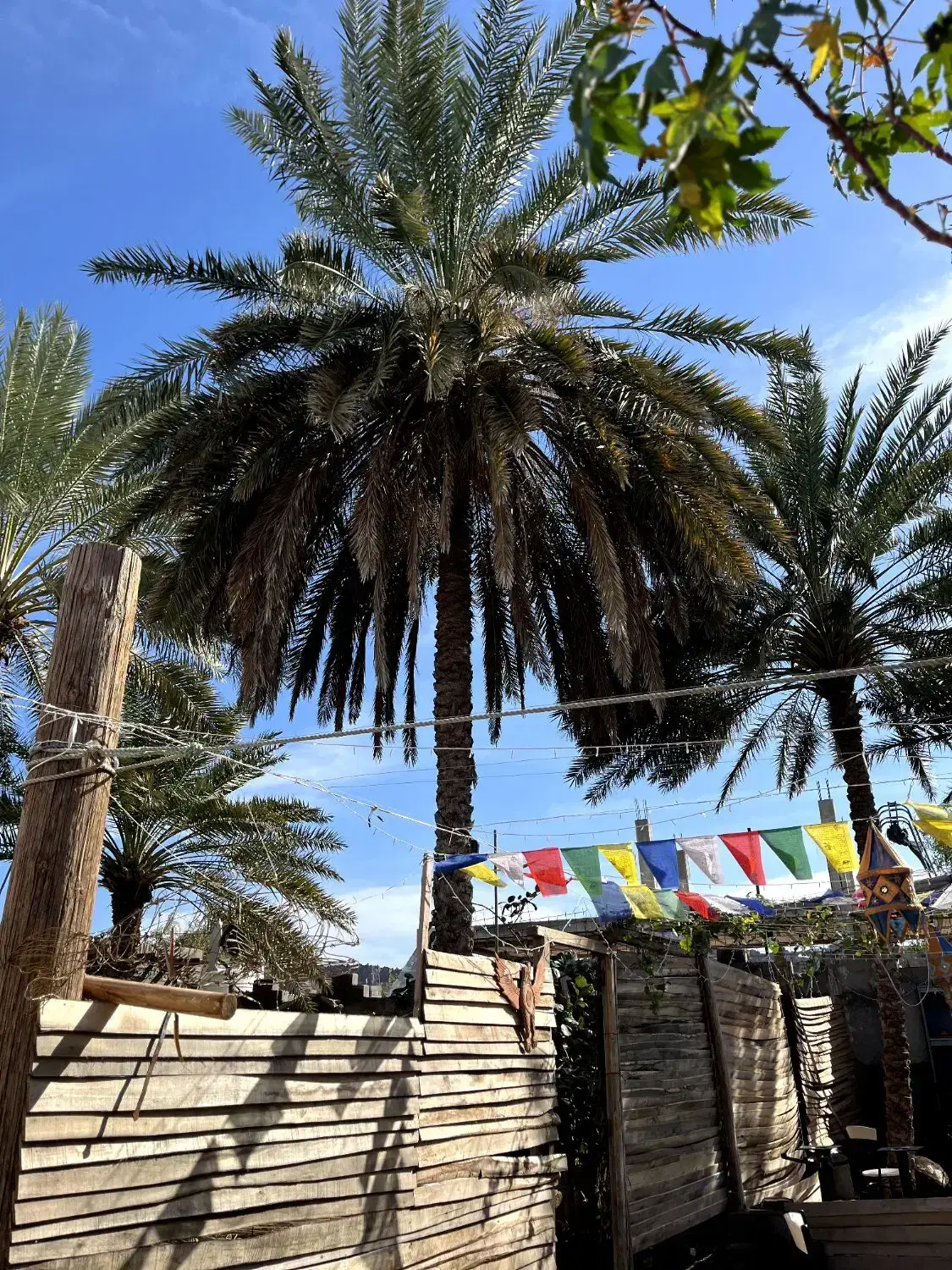 اقامتگاه بومگردی صفر تا صد