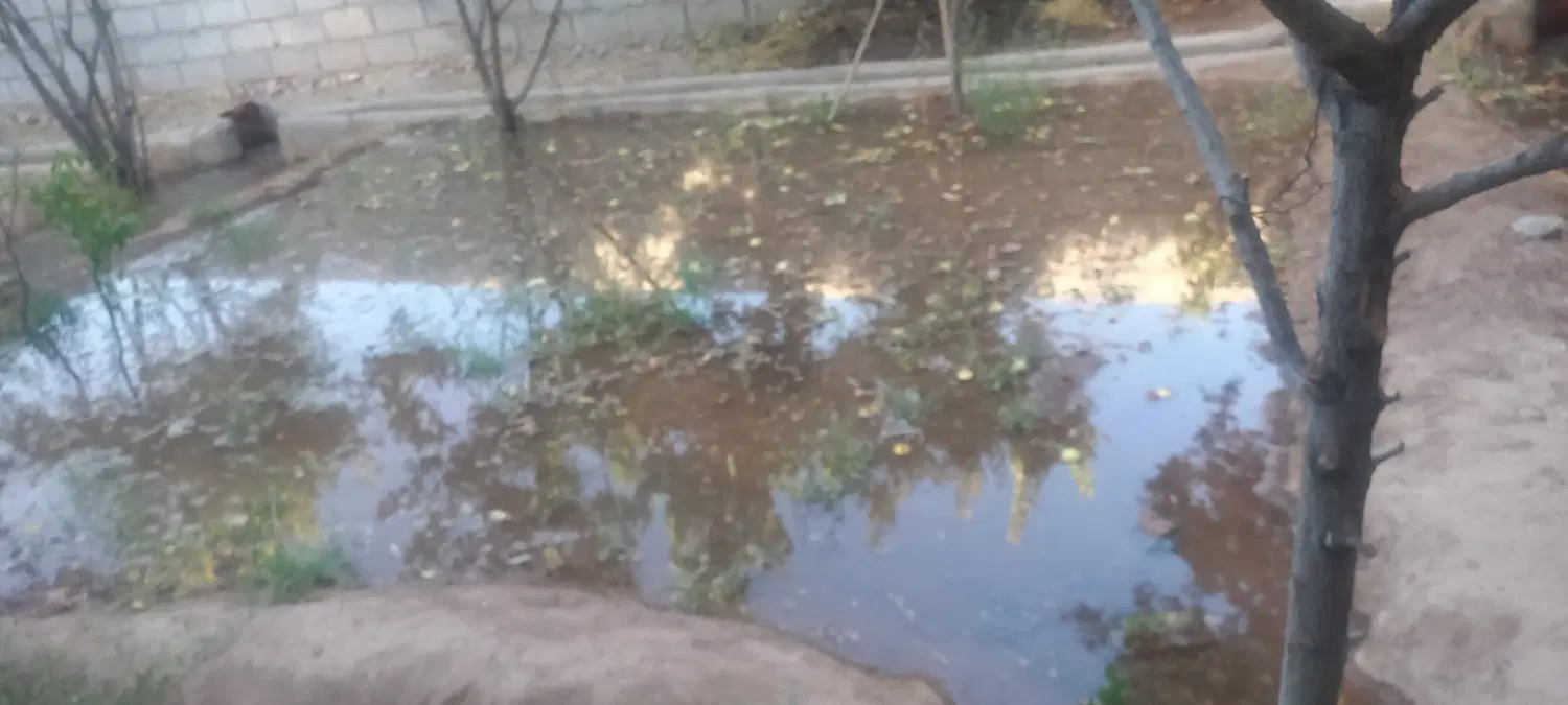 خونه باغ کوهپایه،ده لو لو ،انتهای باهنر یک،۲۱قصب