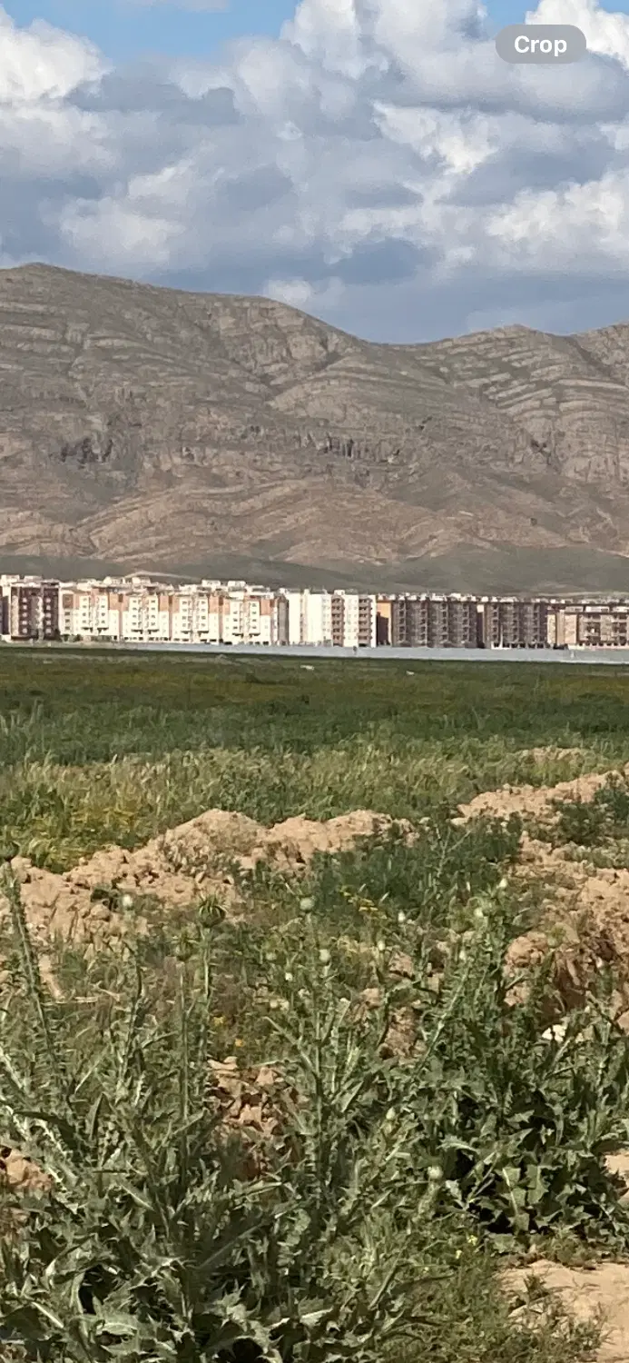 ۶۰۰۰ هزار متر پشت کمربندی سند شش دانگ