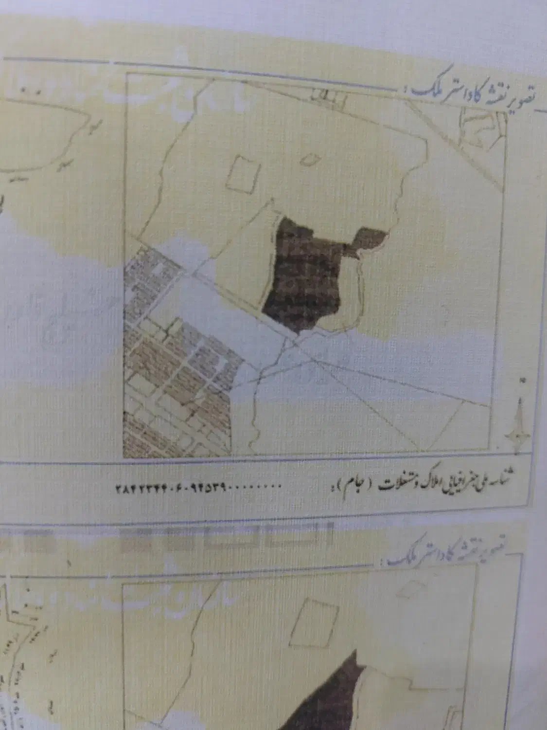 فروش سهام چره ناب