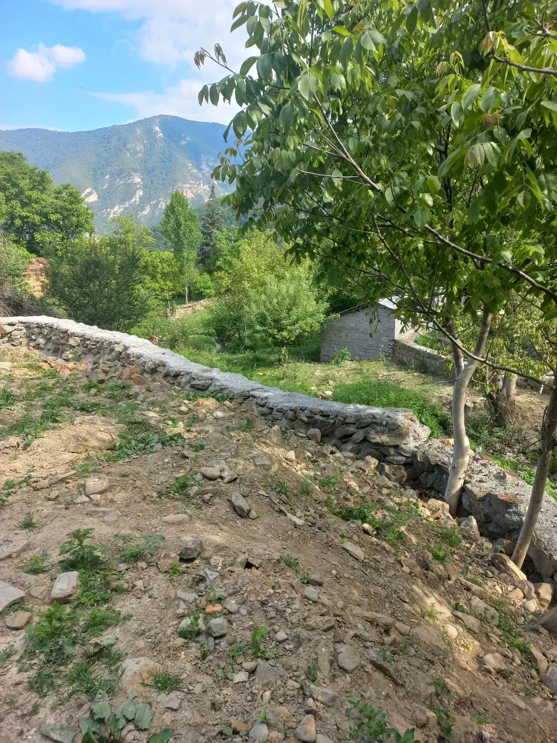 ۲۰۰متر زمین با ویوی ابدی