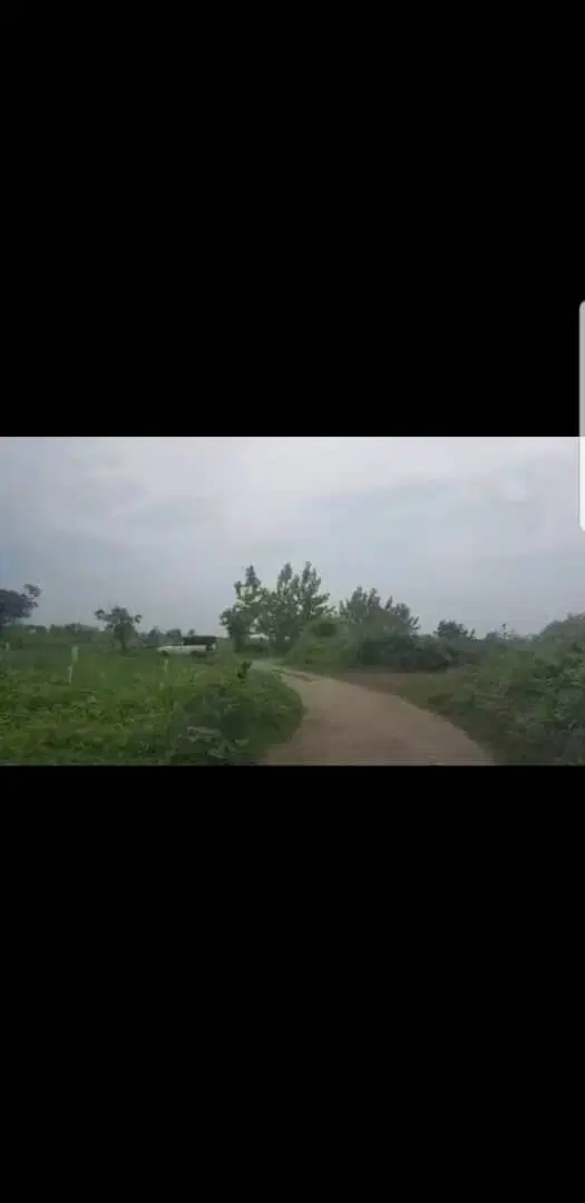 ۱۰۰۰ متر زمین حسن برنده مسکونی