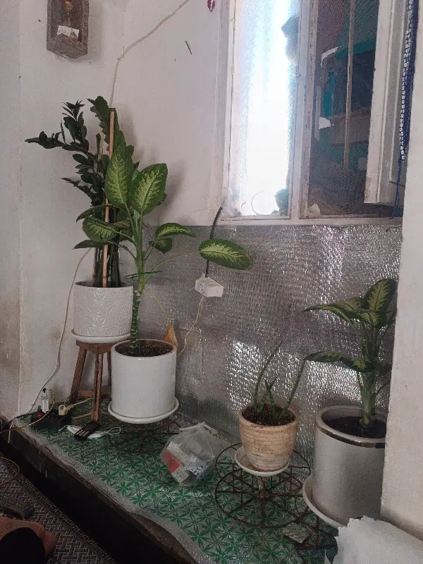 یک خانه مسکونی بفروش میرسد