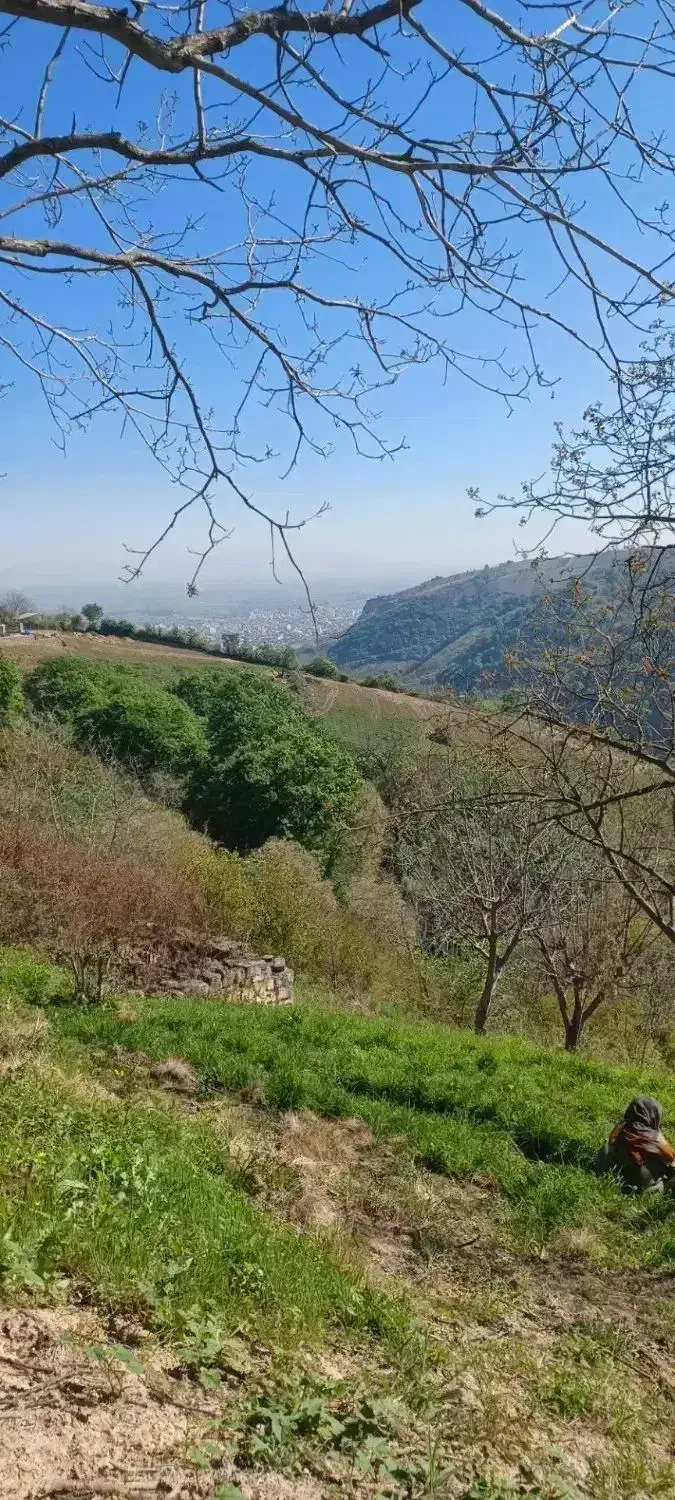 چشم انداز بی نظیر