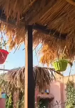 باغچه زیبا بوم‌گردی کافه شاپ ورستوران