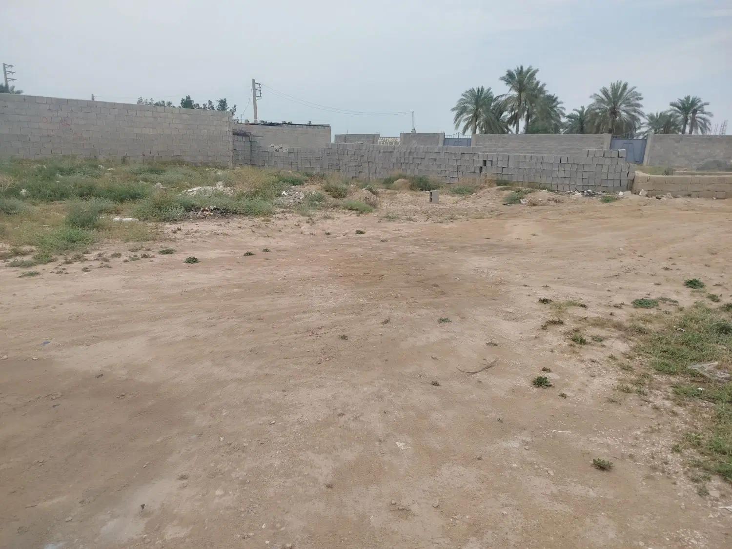 زمین کشاورزی پشت اداره آبفا