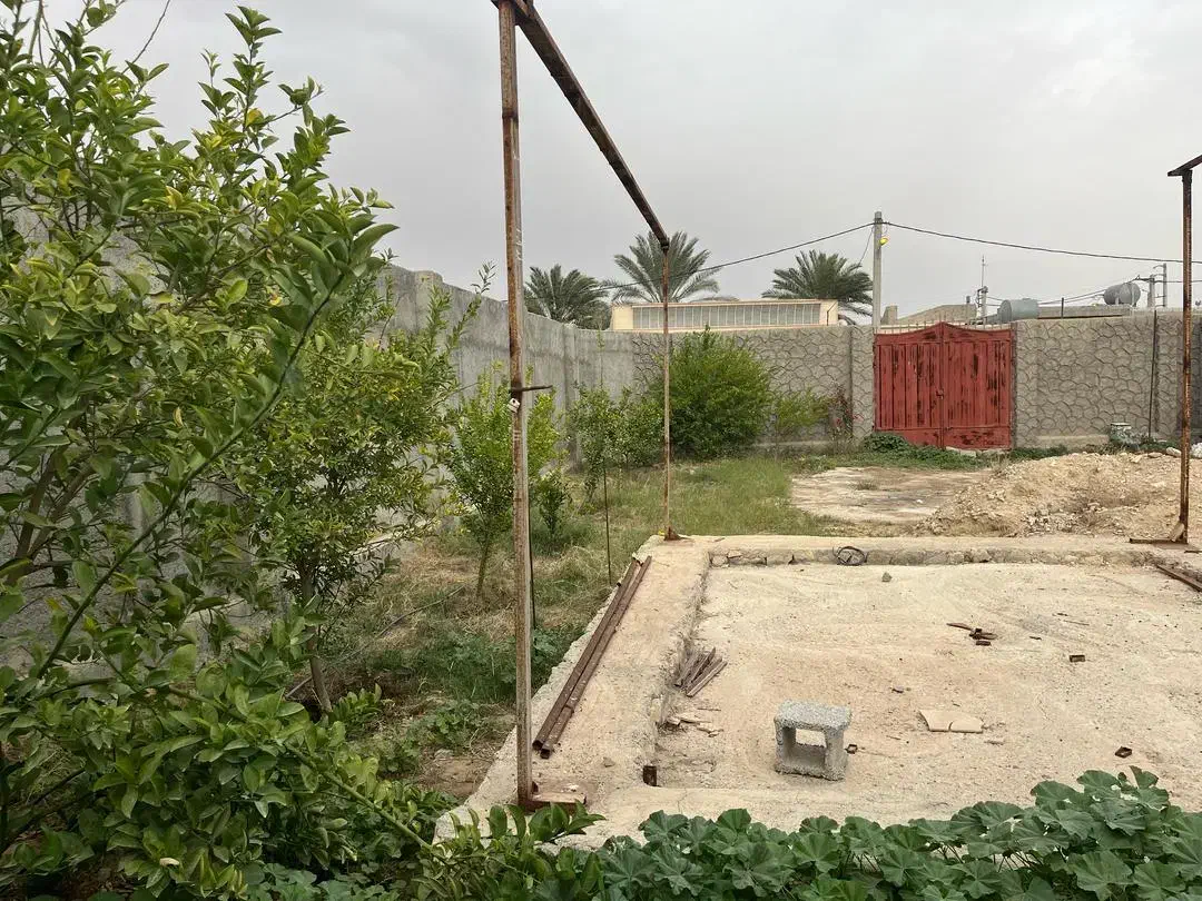 زمین گورک ، رو به  رو مجیدی،گلستان