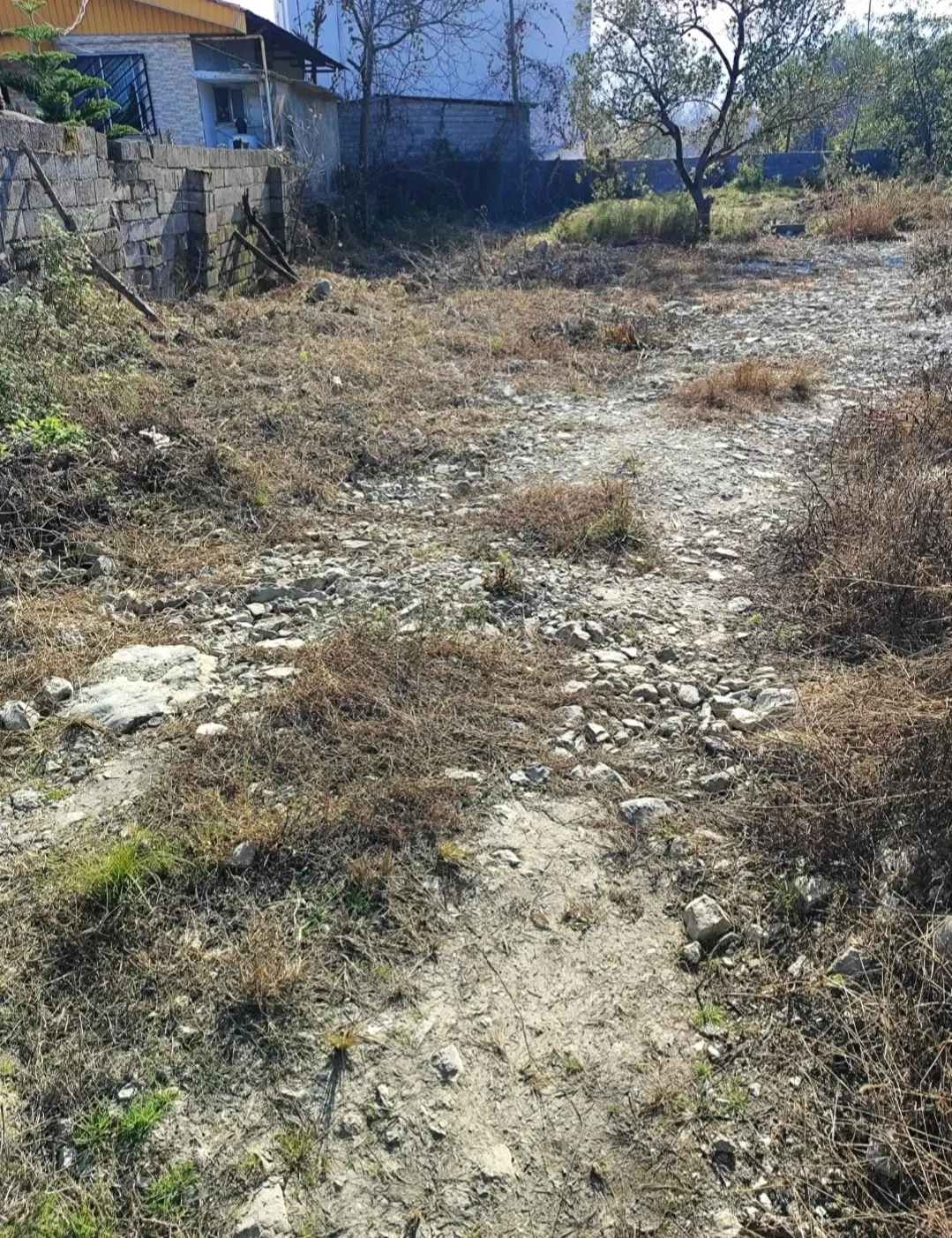زمین مسکونی لتینگان