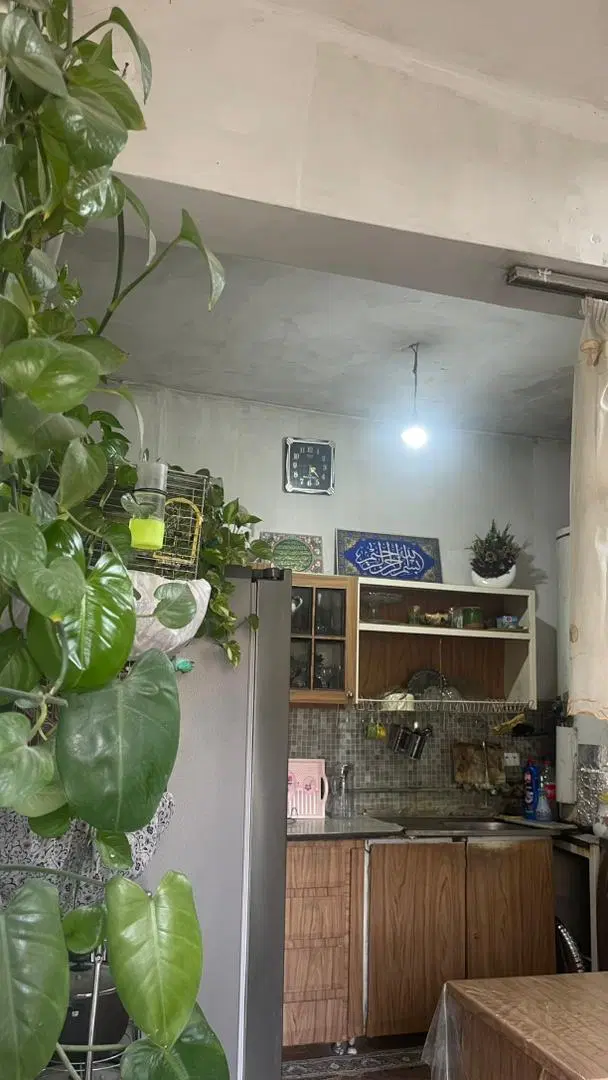 اجاره ویلایی دربست مولوی